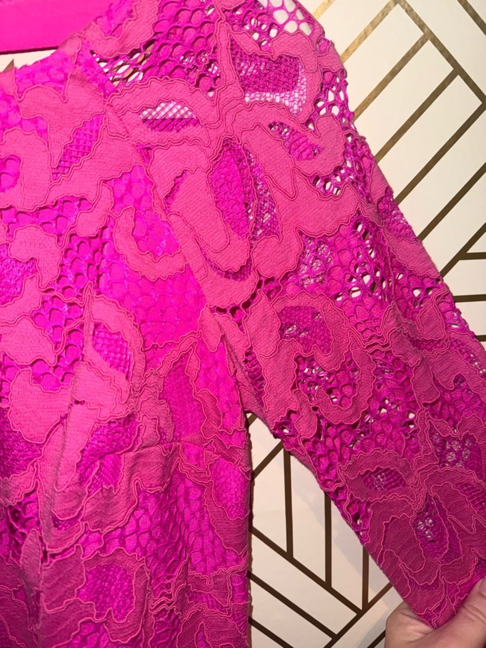 Lilly Pulitzer Aaliyah Dress Hot Pink Lace Mini Dress with Tie Back Size 2 Lace - Picture 9 of 15